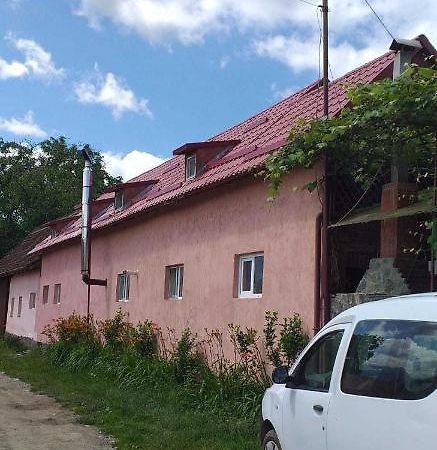 Casa boierului Imbri Villa Cîrţişoara Exterior foto