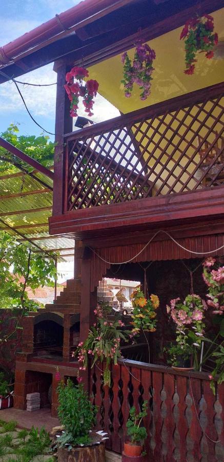 Casa boierului Imbri Villa Cîrţişoara Exterior foto