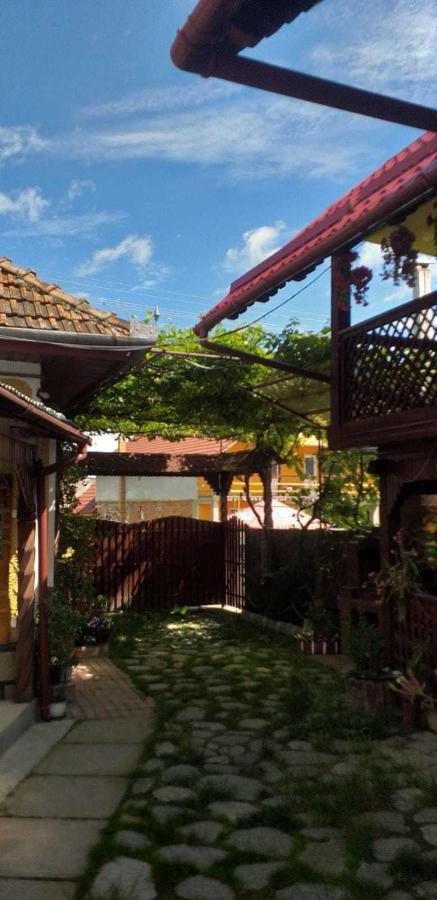 Casa boierului Imbri Villa Cîrţişoara Exterior foto