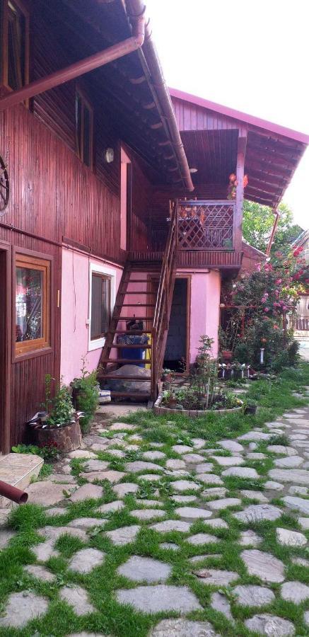 Casa boierului Imbri Villa Cîrţişoara Exterior foto