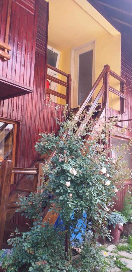 Casa boierului Imbri Villa Cîrţişoara Exterior foto