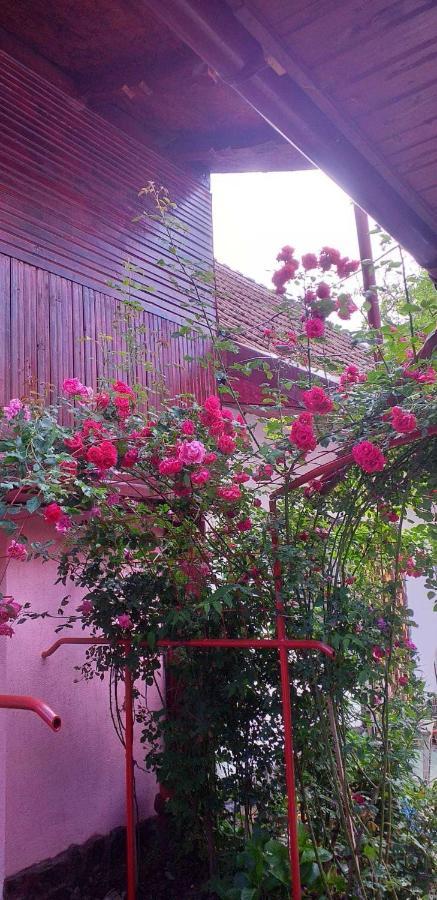 Casa boierului Imbri Villa Cîrţişoara Exterior foto
