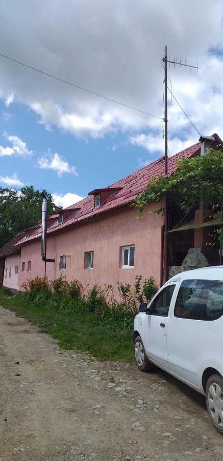 Casa boierului Imbri Villa Cîrţişoara Exterior foto