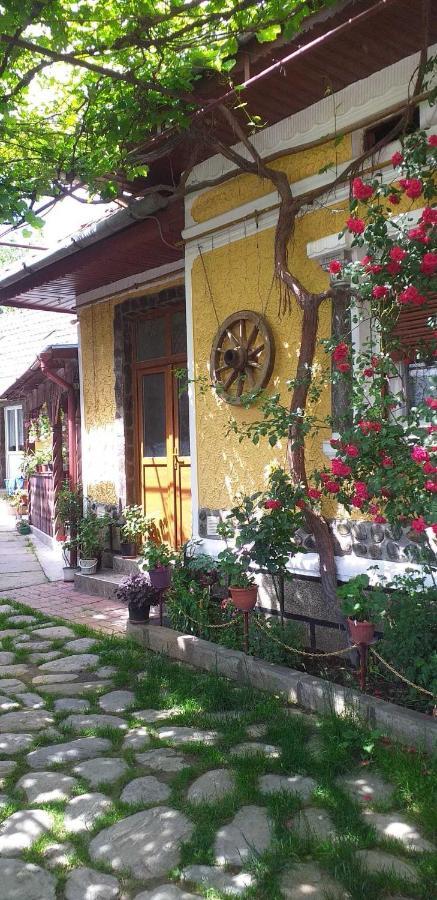 Casa boierului Imbri Villa Cîrţişoara Exterior foto
