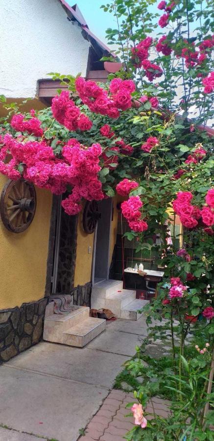 Casa boierului Imbri Villa Cîrţişoara Exterior foto