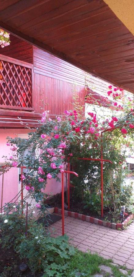 Casa boierului Imbri Villa Cîrţişoara Exterior foto